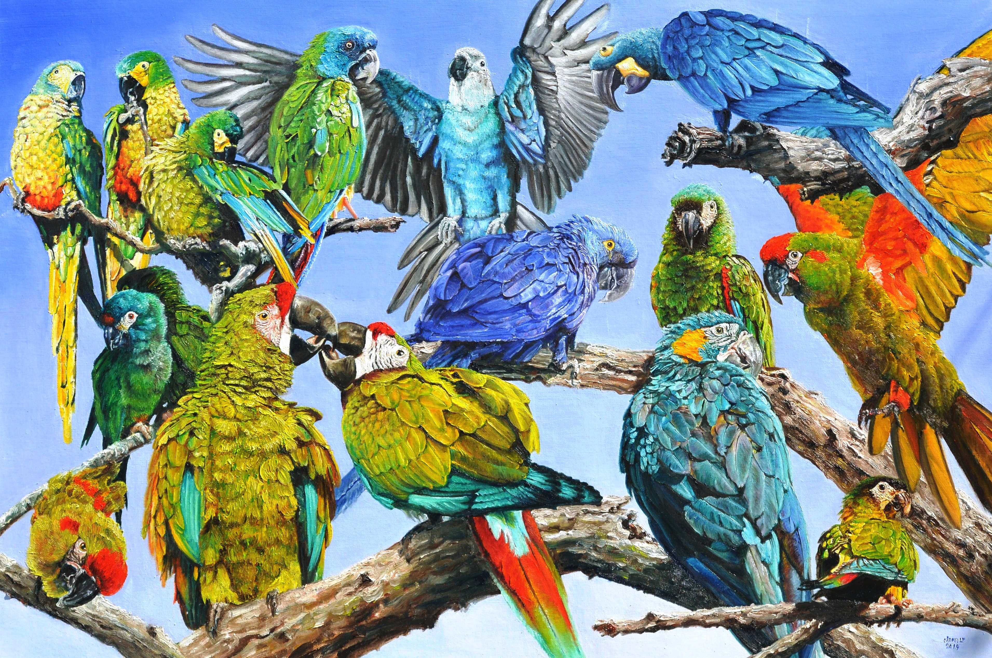 Macaws | Oil paint on linen | Year: 2019 | Dimensions: 100x150cm